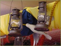 Foto: Friso Geerlings, © 2002 Het Wonderlijke WC Web