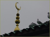 Foto: Friso Geerlings, © 2002 Het Wonderlijke WC Web