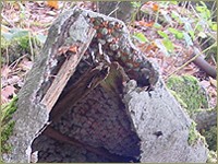 Foto: Friso Geerlings, © 2003 Het Wonderlijke WC Web
