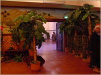 Foto: Friso Geerlings, © 2002 Het Wonderlijke WC Web