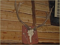 Foto: Friso Geerlings, © 2003 Het Wonderlijke WC Web