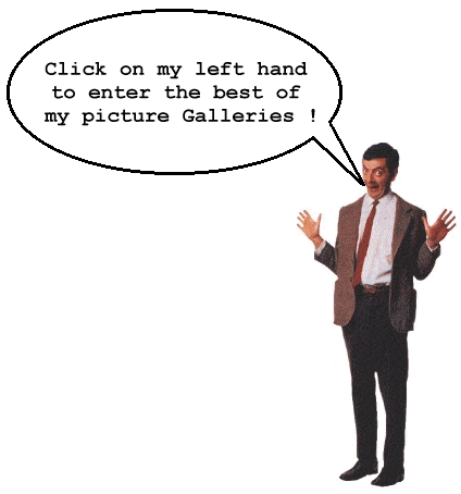 Mr. Bean's Picture Page